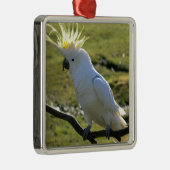オーストラリアのサルファ・クリステッド・コッカトゥー メタルオーナメント (右)