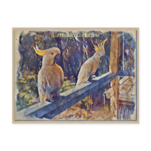 オーストラリアのサルファ・トレンゲ