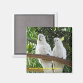 オーストラリアのサルファ・トレンゲ マグネット (正面/裏面)