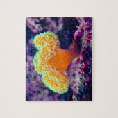 オーストラリアのサンゴ礁 ジグソーパズル (縦)