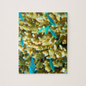 オーストラリアのサンゴ礁 ジグソーパズル (縦)