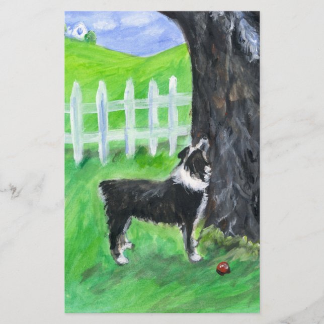 オーストラリアのシェパードはリスを見る (正面)