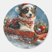 オーストラリアのシェパード犬のスレッジクリスティマス マグネット (正面)