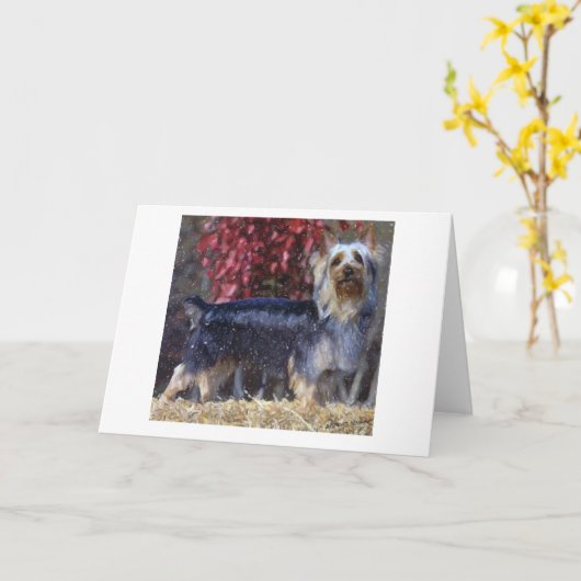 オーストラリアのシルキーのテリア空白のドググリーティングカード カード (黄色い花)