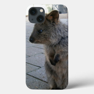 「オーストラリアのスナグルズキュドリーな灰色のクッカ」 iPhone 13ケース
