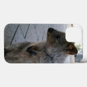 「オーストラリアのスナグルズキュドリーな灰色のクッカ」 Case-Mate iPhoneケース (裏面 (横))