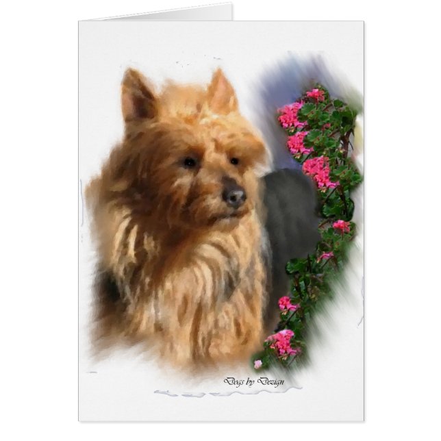 オーストラリアのテリアアートギフト (正面)