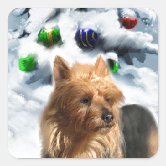 オーストラリアのテリアクリスマス スクエアシール (正面)