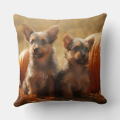 オーストラリアのテリアパピー秋の喜びカボチャ クッション (裏面)