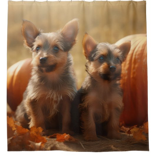 オーストラリアのテリアパピー秋の喜びカボチャ シャワーカーテン (正面)