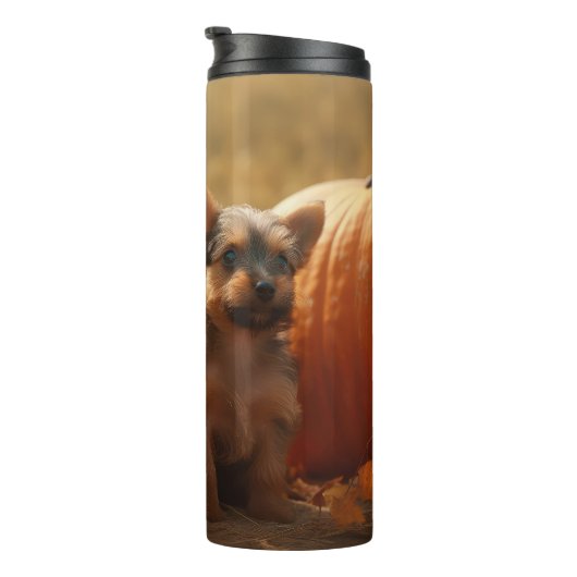 オーストラリアのテリアパピー秋の喜びカボチャ タンブラー (回転右)