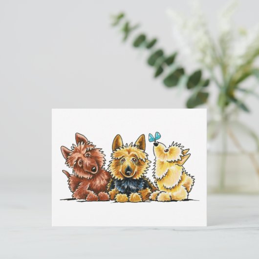 オーストラリアのテリア3 ポストカード (スタンド正面)