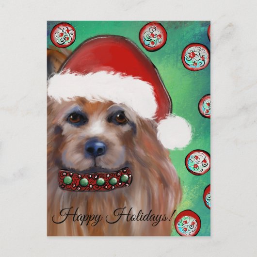 オーストラリアのテリア ポストカード (正面)