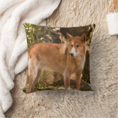 オーストラリアのディンゴの装飾用クッション クッション (ブランケット)