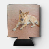 オーストラリアのディンゴはクーラーできる 缶クーラー (裏面)