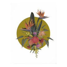 オーストラリアのトロピカル