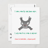 オーストラリアのドロップベアポストカード ポストカード (正面/裏面)