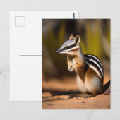 オーストラリアのナンバーバットポストカード ポストカード (正面/裏面)