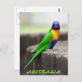 オーストラリアのニジイロインコ ポストカード (正面/裏面)