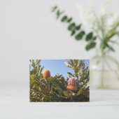 オーストラリアのバンスキアの花 名刺 (スタンド正面)