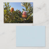 オーストラリアのバンスキアの花 名刺 (正面/裏面)