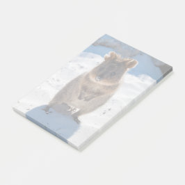 オーストラリアのビーチでかわいい ポストイット