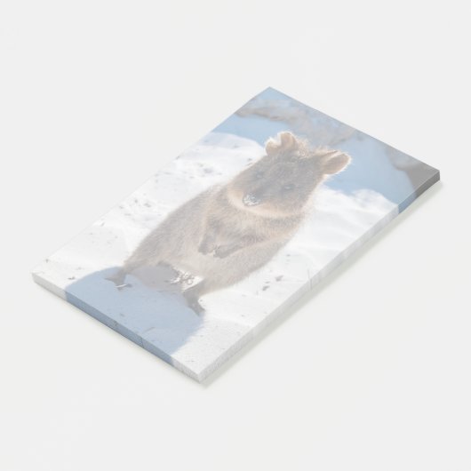 オーストラリアのビーチでかわいい ポストイット (アングル)