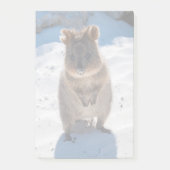 オーストラリアのビーチでかわいい ポストイット (正面)