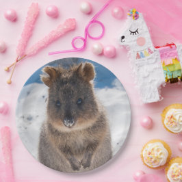 オーストラリアのビーチのクォッカ、かわいい動物の写真 ペーパープレート