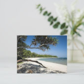 オーストラリアのビーチ ポストカード (スタンド正面)