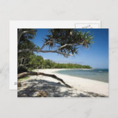 オーストラリアのビーチ ポストカード (正面/裏面)