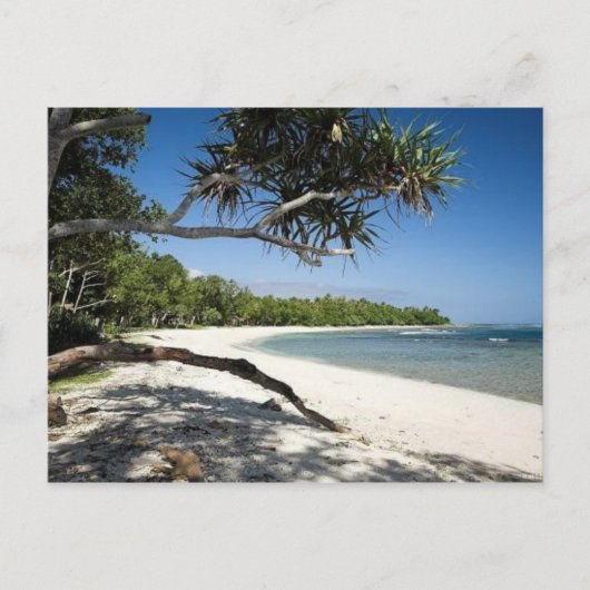 オーストラリアのビーチ ポストカード (正面)