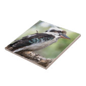 オーストラリアのフレイザー島で笑うコカブラ タイル (側面)