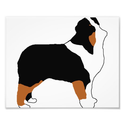 オーストラリアのブラックトリサイロ フォトプリント            (正面)