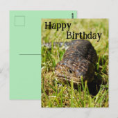 オーストラリアのブルータングトカゲの誕生日ポストカード ポストカード (正面/裏面)