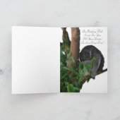 オーストラリアのベコンズ – カンガルー誕生日カード カード (内部)