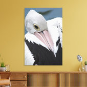 オーストラリアのペリカンのクローズアップ キャンバスプリント (インサイチュ (リビング))