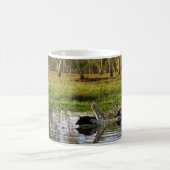 オーストラリアのペリカン、カカドー国立公園(NT) コーヒーマグカップ (中央)