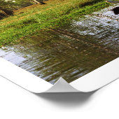 オーストラリアのペリカン、カカドー国立公園(NT) ポスター (角)