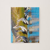 オーストラリアのペリカン ジグソーパズル (縦)