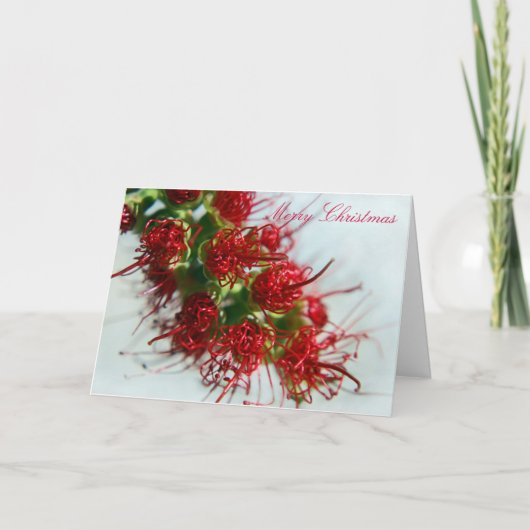 オーストラリアのボトルブラシのクリスマスカード シーズンカード (正面)