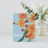 オーストラリアのユーカリの花 ポストカード (スタンド正面)