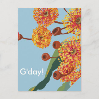 オーストラリアのユーカリの花 ポストカード