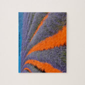 オーストラリアのラヴァンドルフィールド ジグソーパズル (縦)