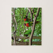 オーストラリアのレインボーロリケッツ ジグソーパズル (縦)