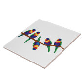 オーストラリアのレインボーロリケッツ タイル (側面)