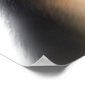 オーストラリアの三色羊飼いポスター ポスター (角)