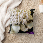 オーストラリアの先住民の花の種類は4です。 クッション (ブランケット)