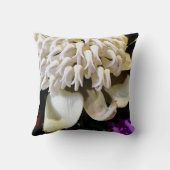 オーストラリアの先住民の花の種類は4です。 クッション (裏面)