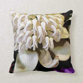 オーストラリアの先住民の花の種類は4です。 クッション